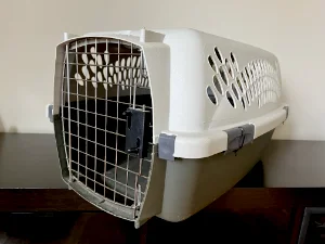 An unsafe grey and green cat carrier that has snaps that don't secure properly. They are held together by zip-ties.
