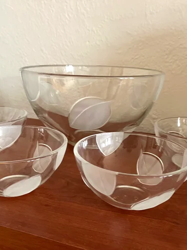 Glass Salad Bowl Set
